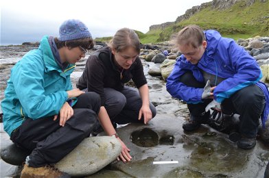 World's largest Jurassic pterosaur discovered in Scotland