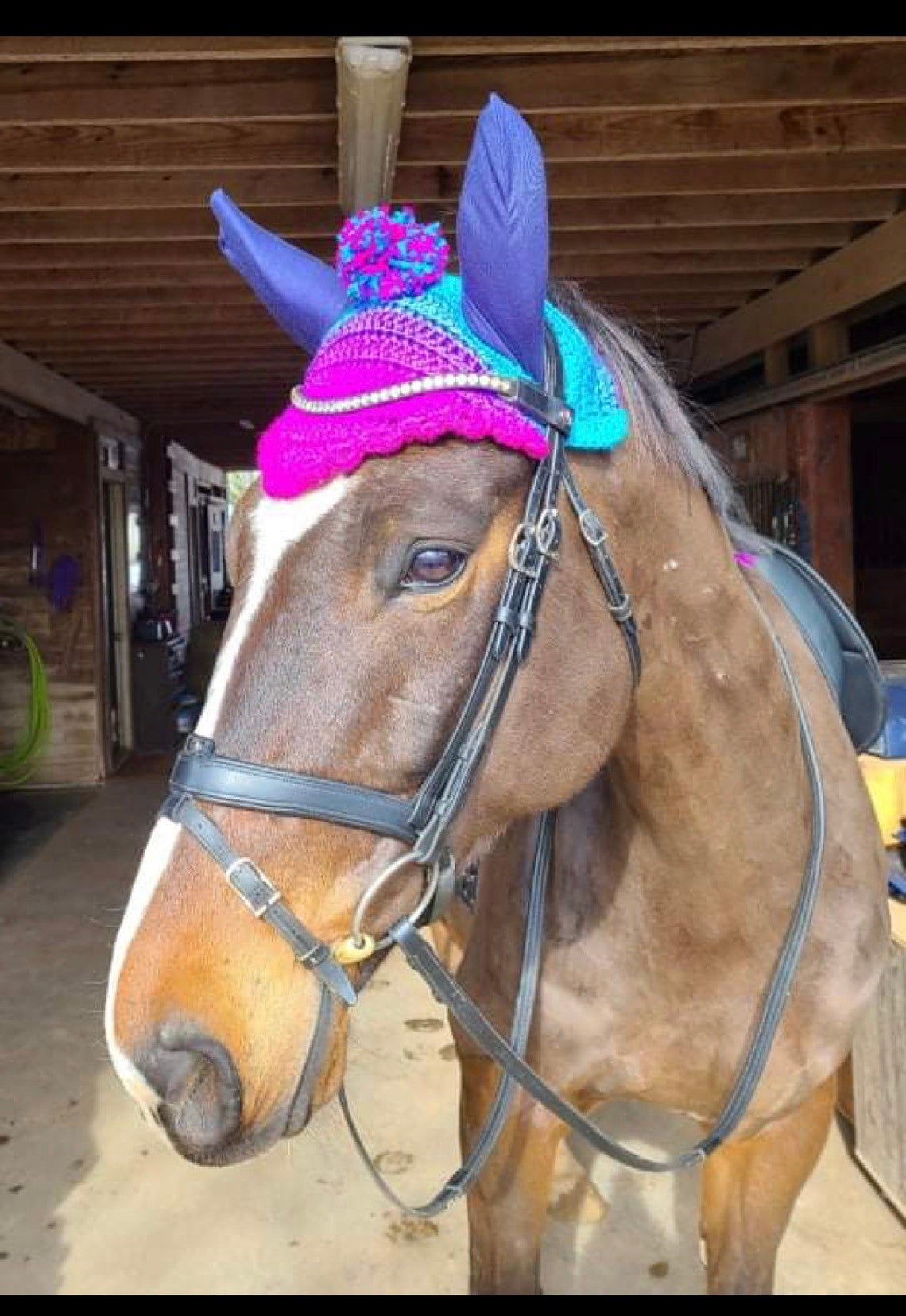 knitted hats for horses